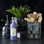 Poisonous Plants Book Shaped Vase